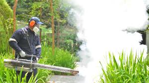 Best Fumigation Services  in Southern Gateway, VA